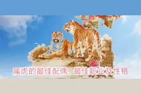 属虎的最佳配偶、最佳职业及性格视频封面