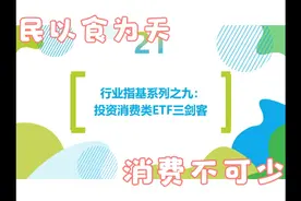 手把手带你玩转ETF：行业指基系列之九 投资消费类ETF三剑客！视频封面