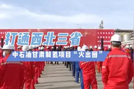 中石油甘肃160兆瓦光伏制氢项目上马 开启西北氢能布局视频封面
