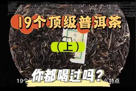 19个顶级普洱茶 你都喝过吗？视频封面