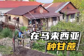走进马来西亚老百姓的真实生活，68岁广东客家人阿姨坚持自力更生视频封面