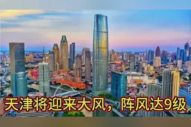 刚刚，天津发布陆地大风蓝色预警，阵风最高达9级，市民注意6点