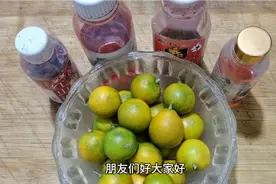 自制浓缩果酸小药，开饵只需加两滴，鱼获可不少。