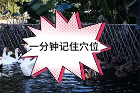 十四经络穴位歌，图文并茂，加深记忆视频封面