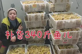 又是在家炸鱼的一天，连续三天赶出340斤，这下不怕断货了