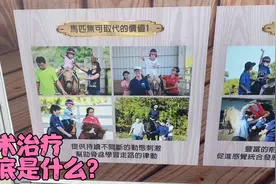 马术训练能治疗什么疾病？身心障碍的朋友们不妨试试。视频封面