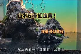 山水石草缸造景，很详细的开缸教程！希望这个成景能成为经典..！