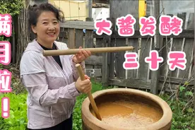 郝姐下的大酱满月啦！不用再探讨一斤黄豆放几两盐，照着干就完了视频封面