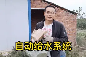 养牛新手选自来水喂牛最安全，安装自动加水器，方便省时视频封面