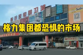 格力集团为什么在临沂建厂，格力为什么惧怕临沂的家电厨卫城视频封面