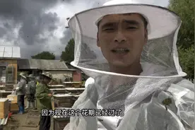 一年只能摇一次的成熟蜜马上就能摇蜜了。带大家看一下撤坯的过程