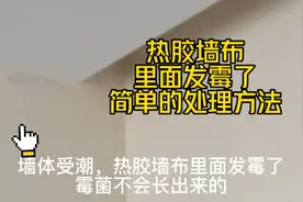 墙体渗水，导致墙布发霉了，最简单处理方法。视频封面