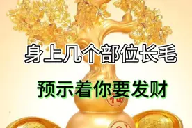 身上几个部位长毛，说明你要发财，看看你有吗？视频封面