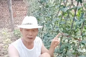 几毛钱的土霉素配上一物，能让你的疏菜增产三成，很多菜农不知道