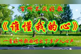 一首好听歌曲《谁懂我的心》唱出了多少人心声