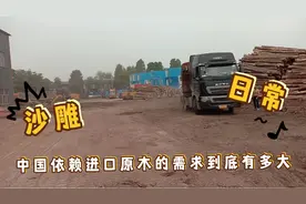 苏伊士运河堵塞对国内的影响到底有多大？视频封面