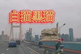 你知道南昌八一大桥白猫黑猫的来历吗？