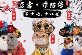 后宫·作猫传 第十七、十八集：灵魂鼓手再掀风云