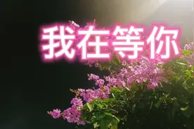 诗歌粤语朗诵《我在等你》视频封面