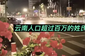 云南十大姓氏中人口超过百万的姓氏视频封面