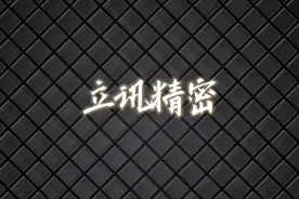科技强，中国强，立讯精密上市至今股价收益走势图！视频封面