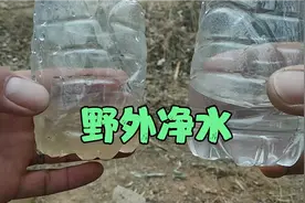 简单有效的野外净水方法