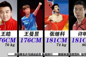 中国著名乒乓球运动员   身高排行视频封面