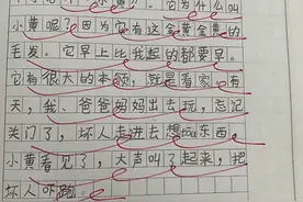 二年级上册第一单元我最喜欢的小动物写话练习视频封面