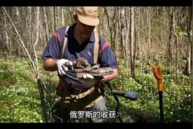 俄乌冲突至今，俄罗斯有四大收获，也证明了美元霸权并非无懈可击视频封面
