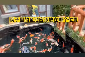 庭院中的鱼池放在哪个方位比较好？挖鱼池有讲究吗？视频封面