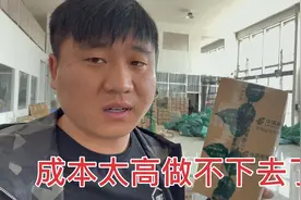 运输成本一年花掉几十万，各项费用都超出预算，小开犯愁没法解决视频封面