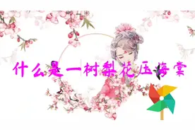 什么是一树梨花压海棠这句话的由来你知道吗八十岁取了十八为妾视频封面
