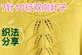 石家庄60后退休教师 分享7针10行双向叶子编织方法 简单易学漂亮视频封面