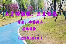 《三月的温暖，三月的花》·碑林路人。三月，是美丽女人的季节。