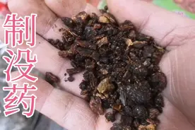 乳香，没药。炮制过的是可以吃的，生的只能外用。