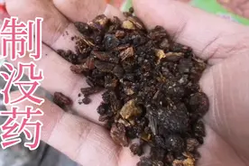 乳香，没药。炮制过的是可以吃的，生的只能外用。