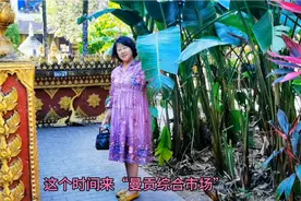 草莓蓝莓好吃，西双版纳雨林气候、日照充分、土地肥沃，生长期长视频封面