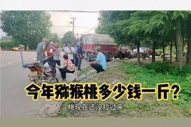 陕西：猕猴桃徐香上市，看今年收购价是多少钱？你们觉得贵吗？视频封面