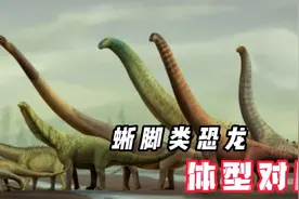 【中文翻译】蜥脚类恐龙与人类体型对比视频封面