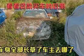 打工仔千万不要贷款买车，买得起养不起，最后成了爬山虎的嫁衣