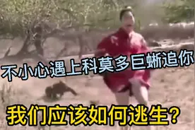 不小心遇上科莫多巨蜥追你 我们应该如何逃生？视频封面