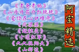 阿宝《老爸老妈》《山丹丹花开红艳艳》《爱你在心口难开》等