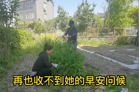 老年人爱发早安问候，背后的原因知道吗？看完这视频，再也不反感视频封面