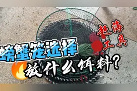 双月湾赶海螃蟹笼的用法，选择多大比较合适？放什么饵料合适？