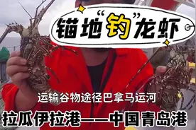 委内瑞拉运输谷物回国，途径巴拿马运河、大隅海峡视频封面