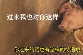 符合这些条件的过来我家当上门女婿，我一定会一辈子好好对你的