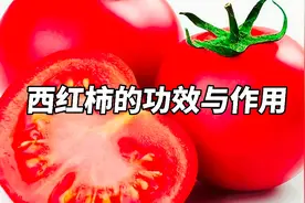 西红柿的功效与作用视频封面