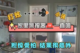 家里烟雾报警器一直响，3个小时后看效果怎么样？该怎样消灭小强视频封面