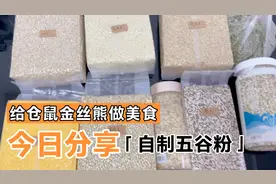 给金丝熊仓鼠做磨牙饼的五谷粉怎么做呢？就是这样简单！