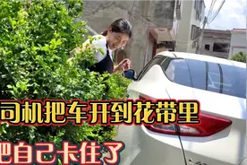 远嫁女开车回娘家，在家门口停车，这技术太搞笑了，还被女儿嫌弃视频封面